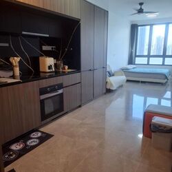 Irwell Hill Residences (D9), Apartment #486290881